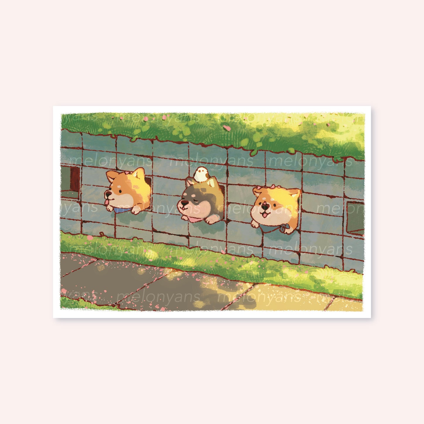 Peeking Shibas Print