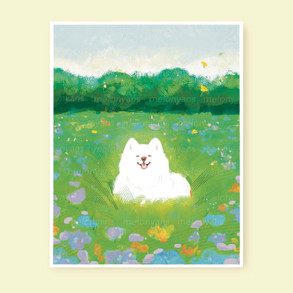 Flower Field Print